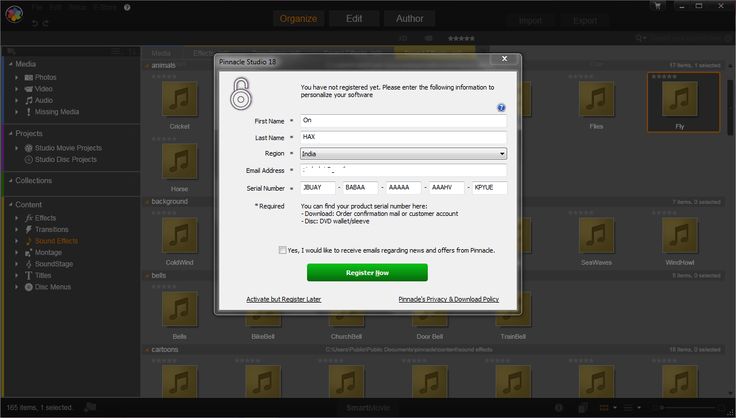 how to export video from pinnacle studio trial